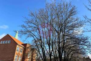Modern sanierte 2 Zi.-Altbauwohnung mit Terrasse auf der Lübecker Altstadtinsel – Die vollständige Adresse der Immobilie erhältst du vom Anbieter., 23552 Innenstadt, Lübeck – Vorschaubild 9