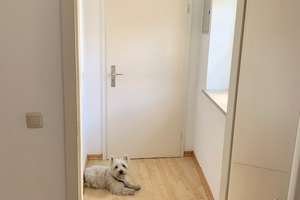 1-Zimmer Appartement am Königsplatz – Die vollständige Adresse der Immobilie erhältst du vom Anbieter., 86150 Innenstadt. St. Ulrich-Dom, Augsburg – Vorschaubild 3