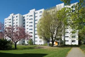 1-Zimmerwohnung in der Gropiusstadt – Käthe-Dorsch-Ring 10, 12353 Gropiusstadt, Berlin – Vorschaubild 3
