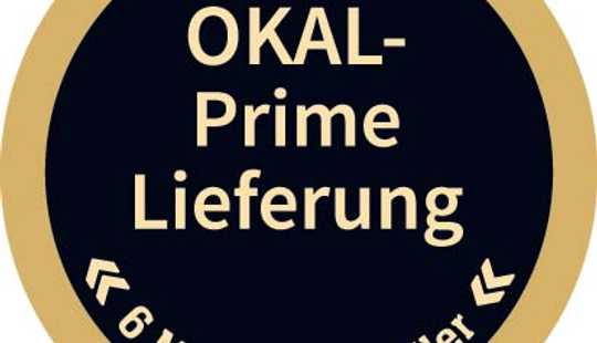 Bild von OKAL- Prime-Lieferung! Pultdachhaus für Individualisten !
