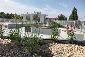 Property thumbnail 18