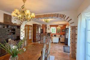 ☀️🍇  La Dolce Vita am Weinberg ! – 55232 Alzey – Vorschaubild 4