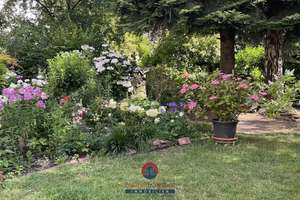 Property thumbnail 10