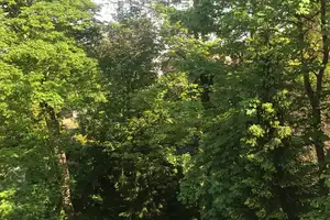 600 €, 96 m², 3 Zimmer – Freiheitstraße 22, 41236 Mönchengladbach – Vorschaubild 11