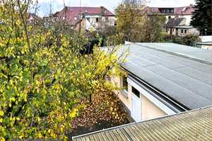 BUSCH-IMMOBILIEN ~ Doppelhaushälfte - Garage - Generationswohnen! – Waldweg 1, 18273 Güstrow (Kreis) – Vorschaubild 31