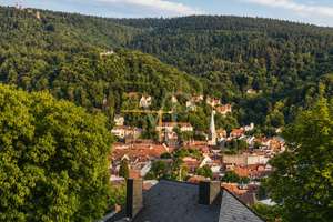 Traumwohnung - Philosophenweg – Die vollständige Adresse der Immobilie erhältst du vom Anbieter., 69120 Neuenheim, Heidelberg – Vorschaubild 17
