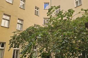 Berlin-Mitte – FREI - 1 Zi Wohnung – in Top-Lage - KAUFEN STATT MIETEN IST BESSER – Die vollständige Adresse der Immobilie erhältst du vom Anbieter., 10115 Mitte (Ortsteil), Berlin – Vorschaubild 14
