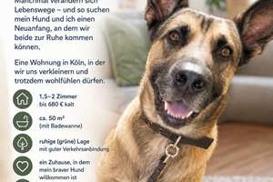 !! Tauschwohnung !! 3-Zimmer-Wohnung in Köln-Ehrenfeld gegen kleiner – Melatengürtel 71, 50825 Ehrenfeld (Ortsteil), Köln – Vorschaubild 2