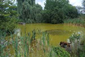 Property thumbnail 27