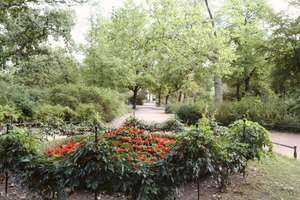 Property thumbnail 20