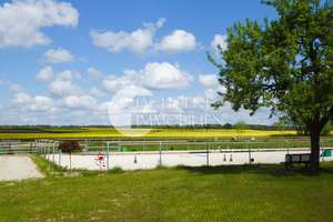 ***RESERVIERT*** Pferdammt schön: Repräsentative Hofstelle für Pferdehaltung mit 1,7 ha Land – Die vollständige Adresse der Immobilie erhältst du vom Anbieter., 29562 Suhlendorf – Vorschaubild 10