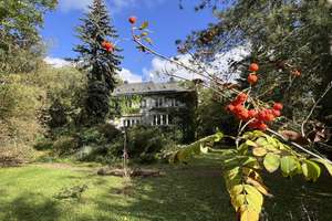 Halle-Innenstadt: Originale Villa zum Sanieren, für 1 bis 3 Familien, großes Park-Naturgrundst – Ratswerder 8, 6110 Südliche Innenstadt, Halle (Saale) – Vorschaubild 6
