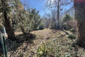 Property thumbnail 43