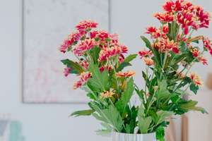 Property thumbnail 19