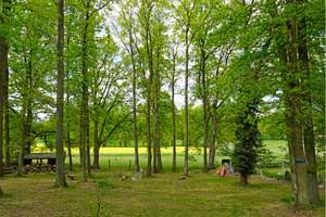Bungalow - fast neuwertig - auf großem Waldgrundstück in toller Lage – Die vollständige Adresse der Immobilie erhältst du vom Anbieter., 21271 Asendorf – Vorschaubild 6