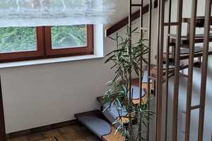 Zweifamilienhaus mit Potential (ideal für mehrere Generationen) – Duisburg – Vorschaubild 12