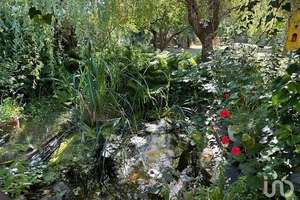 Falkensee EFH mit großem Garten – Rudolf-Breitscheid-Straße 62, 14612 Falkensee – Vorschaubild 6