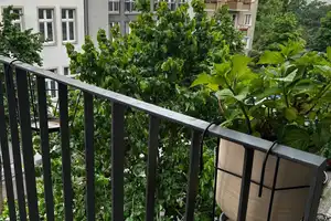 Exklusive, neuwertige 3-Zimmer-Wohnung mit gehobener Innenausstattung mit Balkon und EBK in BErlin – Adolfstr x, 13347 Berlin – Vorschaubild 3