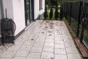 hochwertige, ebenerdige 3-Raumwohnung mit Vollbad, Fußbodenhzg., großer Terrasse, Gartenanteil uvm. – Die vollständige Adresse der Immobilie erhältst du vom Anbieter., 18055 Brinckmansdorf, Rostock – Vorschaubild 11