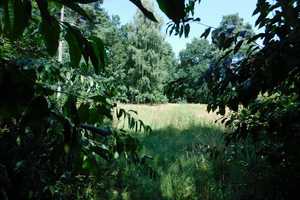 Traumhaftes Grundstück mit Bauernhaus, ca. 7 ha Wald, Teich und Nebengebäude – Parchim (Kreis) – Vorschaubild 24