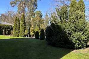 Einfamilienhaus in Wandlitz/ Ortsteil Stolzenhagen – Barnim (Kreis) – Vorschaubild 5