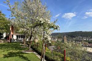 Villa in Südlage mit Weitblick - Provisionsfrei! – 66976 Rodalben – Vorschaubild 1