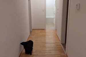 Ruhige 3-Zimmer-Wohnung in Hannover-List – Nähe Eilenriede & perfekte Anbindung – Schleidenstraße 6, 30177 List, Hannover – Vorschaubild 6