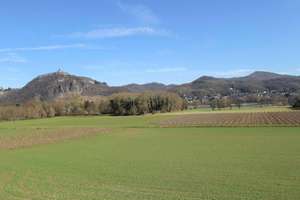 Vermietetes und gepflegtes Haus in Rheinnähe in Bad Godesberg - Mehlem – Die vollständige Adresse der Immobilie erhältst du vom Anbieter., 53179 Mehlem, Bonn – Vorschaubild 19