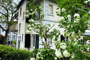 Sanierte Landhausvilla - großes Grundstück – Wiesbaden – Vorschaubild 1