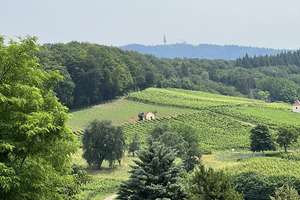 Rarität! Ehemaliger Bauernhof im Markgräflerland!
Traumhafter Innenhof/ Scheune/ Winzerkeller usw – Die vollständige Adresse der Immobilie erhältst du vom Anbieter., 79379 Müllheim – Vorschaubild 12