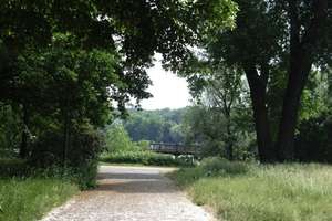 Property thumbnail 17