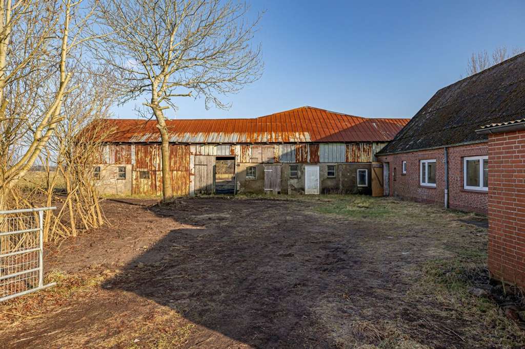 Immobilie in Tetenhusen - Resthof in Alleinlage zwischen Rendsburg und Schleswig - Bild 4