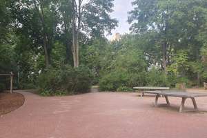 Property thumbnail 42