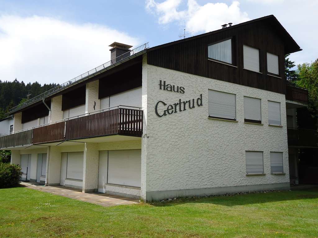 Immobilie in Schönwald im Schwarzwald - Immobilie in Top-Lage: Lichtdurchflutete Räume und viel Platz für Ihren Wohntraum! - Bild 1