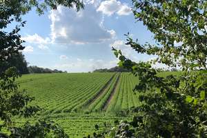 Property thumbnail 14