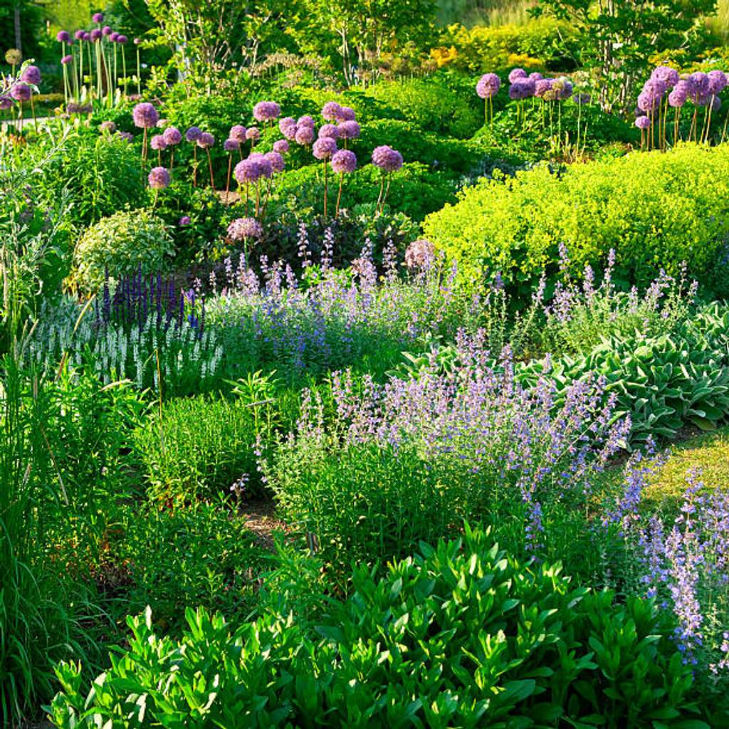 Immobilie in Flörsheim-Dalsheim - Schickes Zweifamilienhaus in ruhiger Toplage. Wohnen mit Familie oder Freunden unter einem Dach. - Bild 3