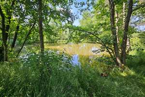 Wohnen in der Natur – Jagdhüttenflair trifft moderne Ausstattung in Emmerichenhain! – Die vollständige Adresse der Immobilie erhältst du vom Anbieter., 56477 Rennerod – Vorschaubild 7