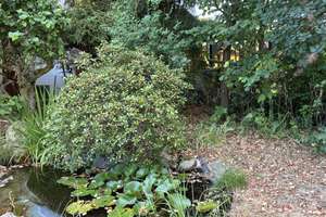 Charmantes Einfamilienhaus der 30er Jahre mit Garage u. westlich ausgerichtetem Garten – Die vollständige Adresse der Immobilie erhältst du vom Anbieter., 63263 Neu-Isenburg – Vorschaubild 7