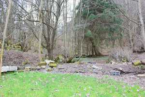 RESERVIERT: Neustadt mit eigener Quelle - DHH, teils vermietet – Bergstraße (Kreis) – Vorschaubild 8