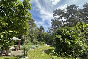 DIREKT AM WALDRAND IN WINSEN/ALLER: BUNGALOW MIT GROSSEM GARTEN & POOL IN FAMILIENFREUNDLICHER LAGE – Celle (Kreis) – Vorschaubild 22