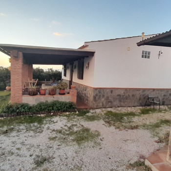 Bauernhof mit Haus und Bäumen zu verkaufen, 1 km von der Küste von Algarrobo entfernt