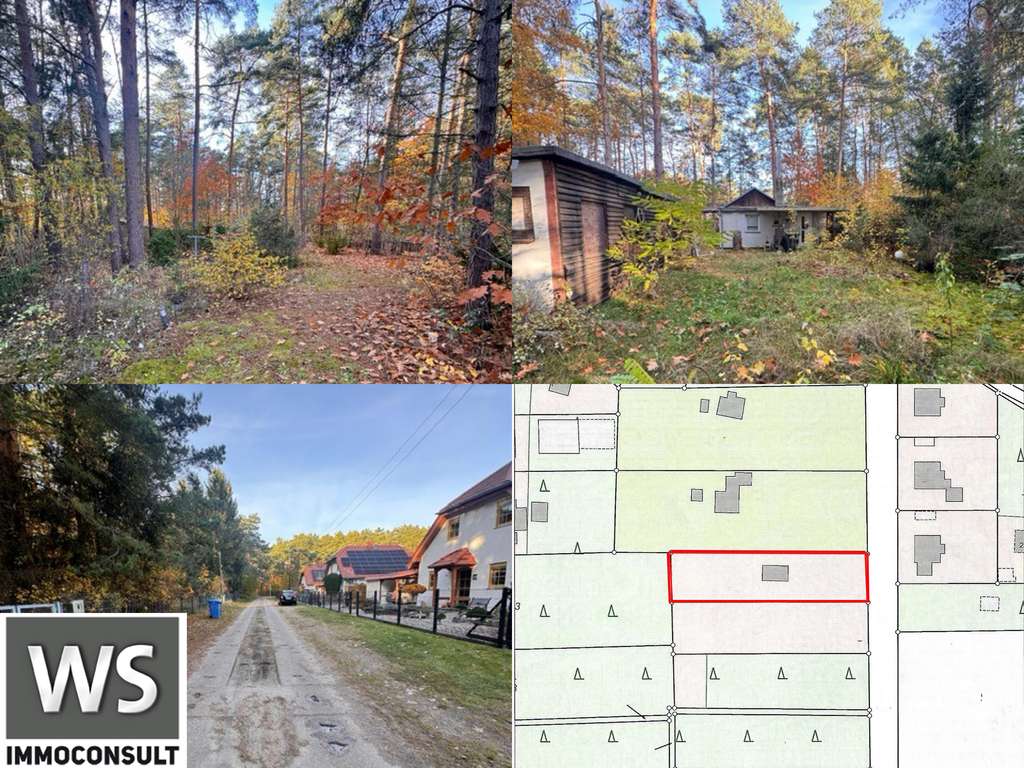 1.259 m² Baugrundstück in Borkwalde - eingezäunt und erschlossen!