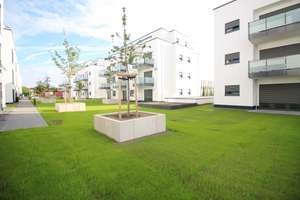 Hochwertige 3-Zimmer-Wohnung mit grosser Dachterrasse und Einbauküche!