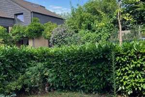 Exclusive Gartenwohnung in Citynähe, ruhig und sonnig – Wilhelmstrasse 54, 48149 Neutor, Münster – Vorschaubild 11