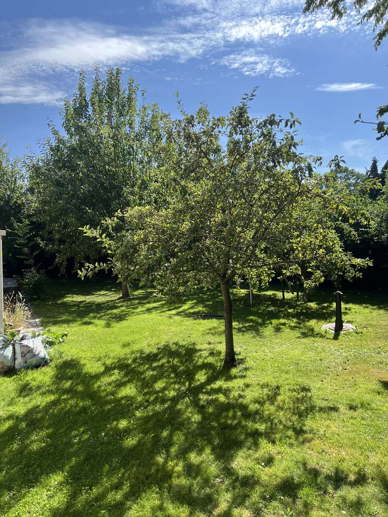 Immobilie in Wiek - Großzügiges, modernes EFH/Stadthausstil in Wiek/Rügen,  Bj2009, Galerie ,4ZK2B, Garage, Garten, Pool - Bild 2