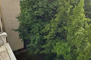 #frisch renoviert  #unbefristet  #ideale Pendler- oder Studentenwohnung #am Bahnhof Gesundbrunnen – Die vollständige Adresse der Immobilie erhältst du vom Anbieter., 13357 Gesundbrunnen, Berlin – Vorschaubild 13