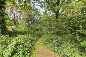 Idyllisches Einfamilienhaus mit anliegender Scheune auf großzügigem Grundstück inmitten der Natur – Dahme-Spreewald (Kreis) – Vorschaubild 6