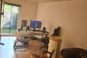 Property thumbnail 9