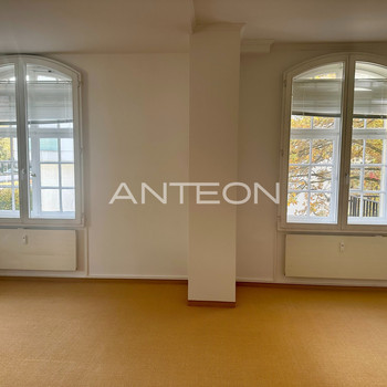 Heimatfreude | einzigartige Altbaufläche | mit Terrasse