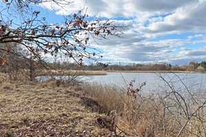 Provisionsfreies Wassergrundstück? … idyllisch und verträumt gelegen … – Oberhavel (Kreis) – Vorschaubild 1
